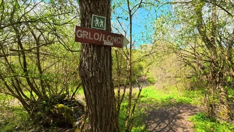 Green path winds through leafy forest. Rosomac Canyon, trail marker. Stock-Footage 335535293