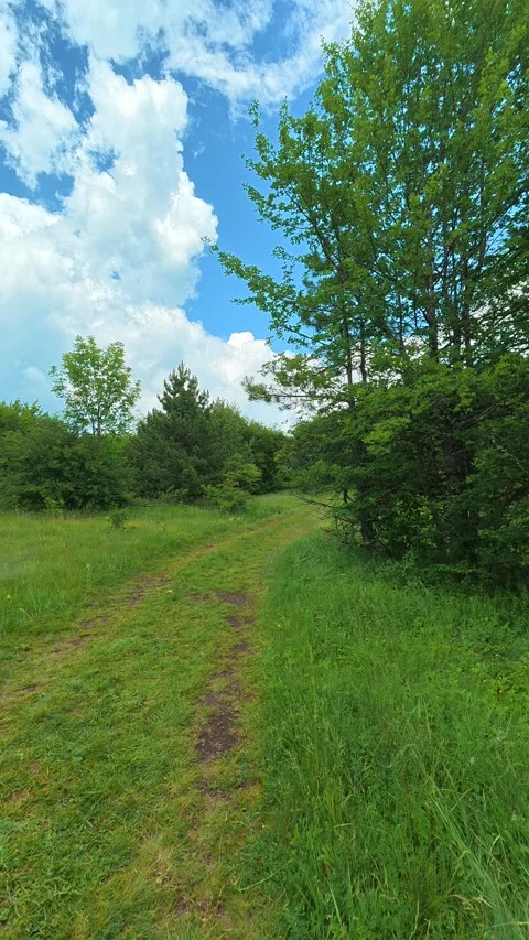 Green path winds through tall grass and trees. Kozji Kamen area, Vertical 스톡 동영상 341880835