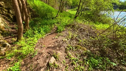 Green path winds through trees. Balkan, Eastern Europe, POV Stock Footage 333590323