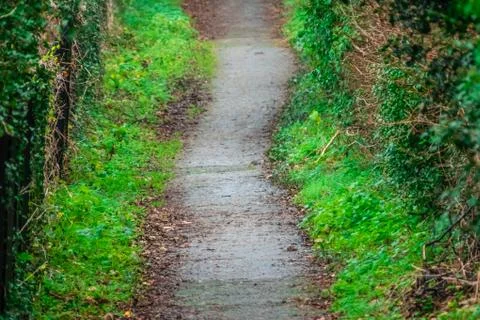 Green pathway in a park Stock Photos