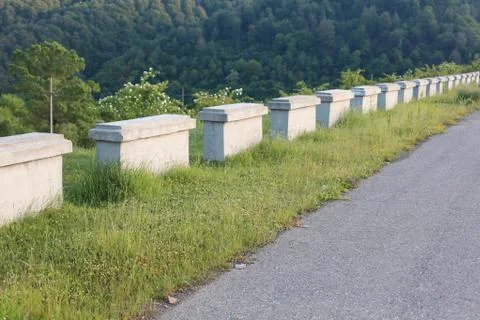 Green pathway Stock Photos