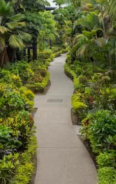 Green Pathway Stock Photos