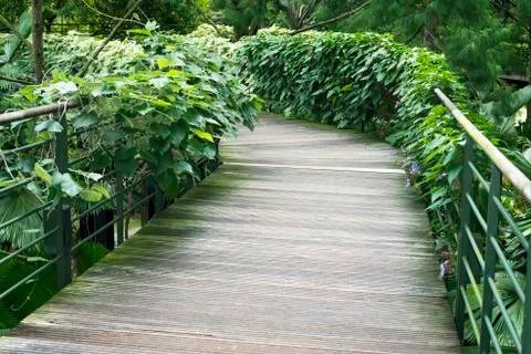 Green pathway Stock-Fotos