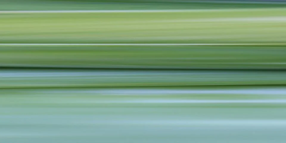 Green pattern background of abstract graphic lines. Stock Photos