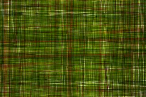 Green pattern background of abstract graphic lines. Stock Photos