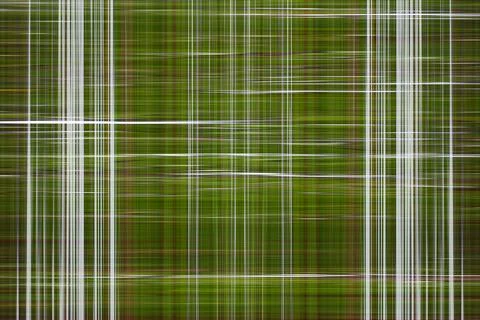Green pattern background of abstract graphic lines. Stock Photos