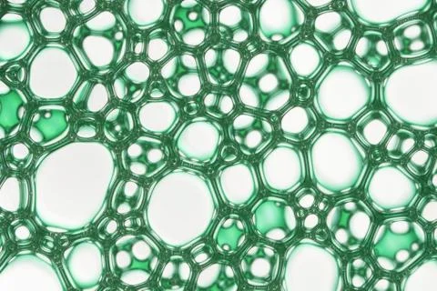 Green pattern Stock Photos