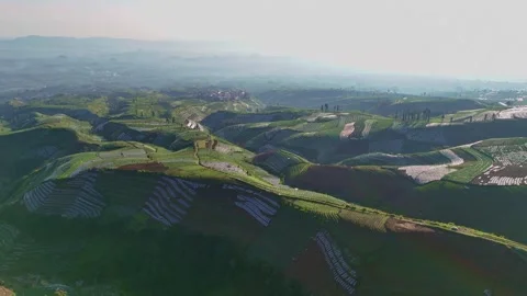 Green patterns of vegetable plantations on the hills. Stock Footage 309642483