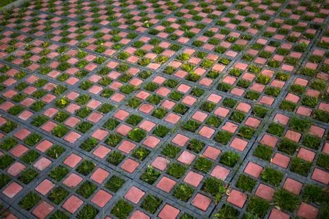Green pavement Stock Photos