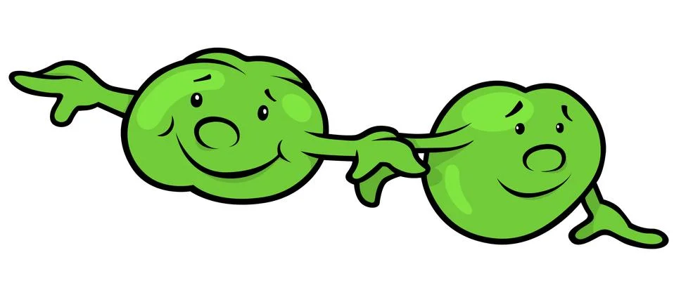 Green Pea Beans Stock Illustration