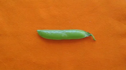 Green pea loading bar on orange background stop motion animation. Computer style Stock Footage 65214863