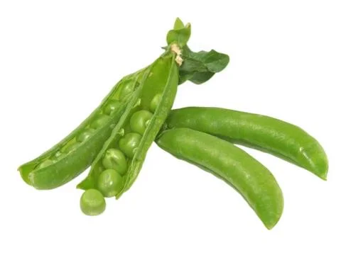 Green pea . Stock Photos