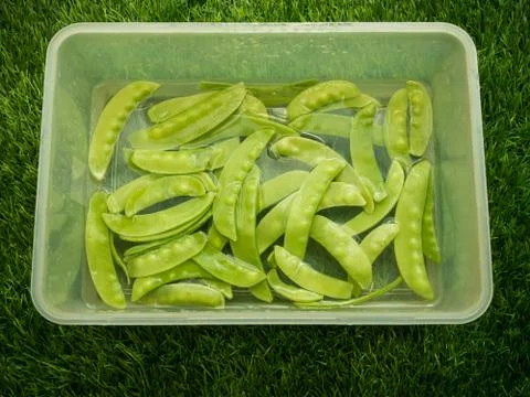 Green pea Stock Photos