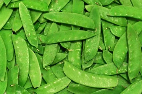 Green pea Stock Photos