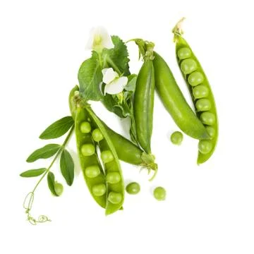 Green pea Stock Photos