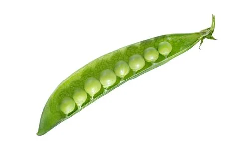 Green pea Stock Photos