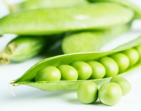 Green pea pod Stock Photos