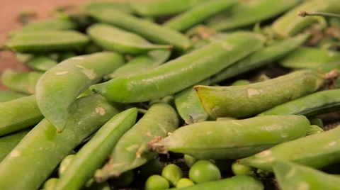 Green pea pods.  Closeup Stock Footage 61215066