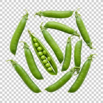Green pea pods with open shell showing seeds on transparent background file.. Stock-Fotos