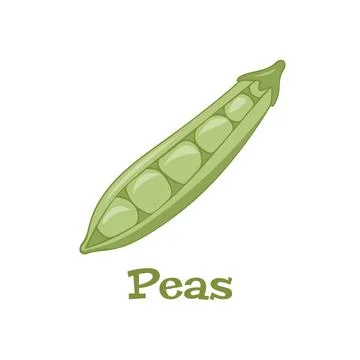 Green pea Vector image. Isolate on a white background. Element for cards Stock Illustration