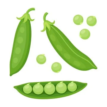 Green pea vector set with pods half pod and single peas Stock Illustration