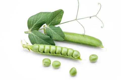 Green pea vegetable Stock-Fotos