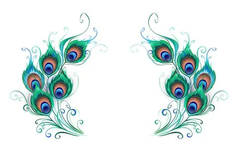 Green peacock feathers composition Stock Illustration