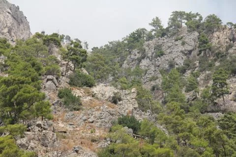 Green peak Stock Photos