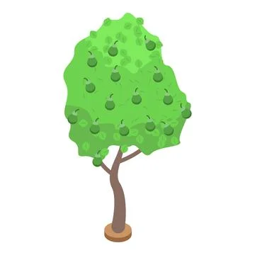 Green pear fruit tree icon, isometric style Stock Illustration
