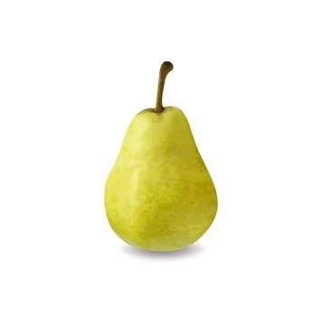 Green pear isolated on white background Vector illustration Illustrazione stock