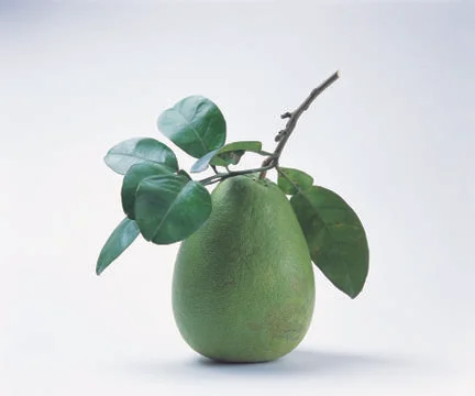 Green Pear Stock Photos