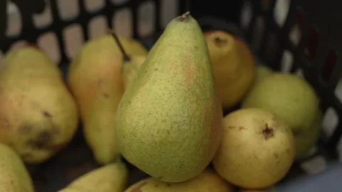 Green pears are in a basket Stock Footage 316516902