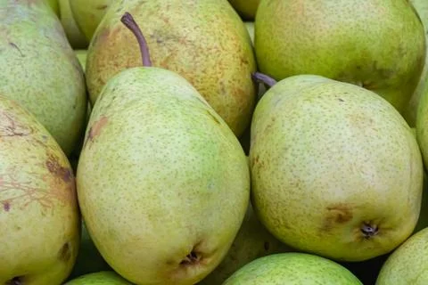Green pears close up full frame ripe skin detail natural texture fresh prod.. Stock Photos