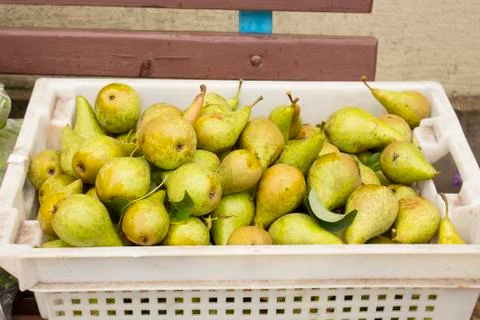 Green pears lay in a plastic box, close-up Foto stock