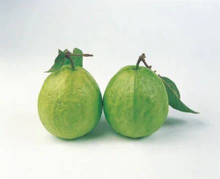 Green Pears Stock Photos