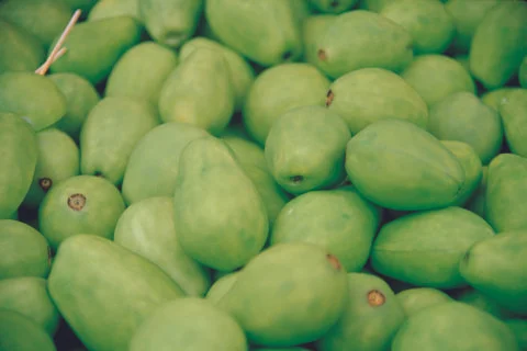 Green Pears Stock Photos