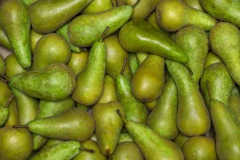 Green pears 스톡 사진
