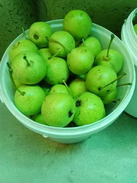 Green pears Stockfoto's