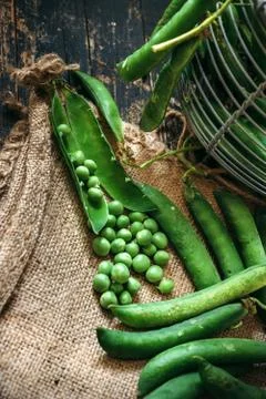 Green peas close up Stock Photos