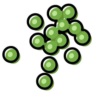 Green peas close up vector illustration. Outline color filled simple drawing Ilustración de archivo