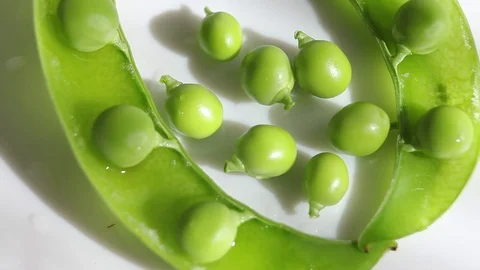 Green peas, close-up on a white background, plate Stock Footage 76120792