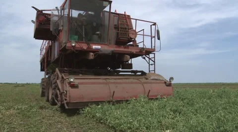 Green peas harvester Stockbeeldmateriaal 51065839