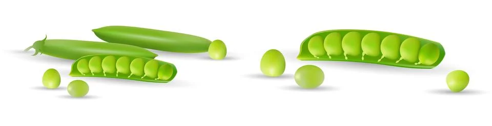 Green peas isolated on white background, set with whole and open peas in pods Stock Illustration