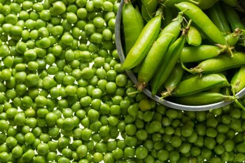 Green peas kernels Stock Photos