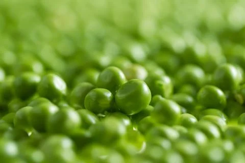 Green peas kernels Stock Photos