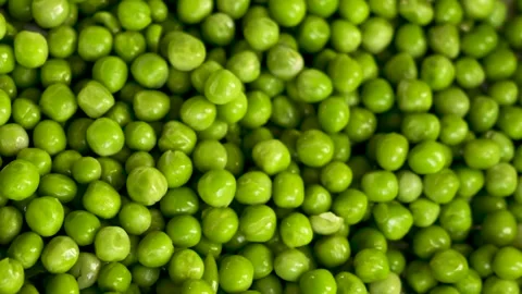 Green peas macro panning texture 4k 120fps 10bit Видео 333659652