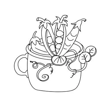 Green peas mug outline vector doodle sketch icon drawing. Minimalist modern Stock Illustration