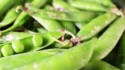 Green peas. Pea shells. Stock Footage 96368891