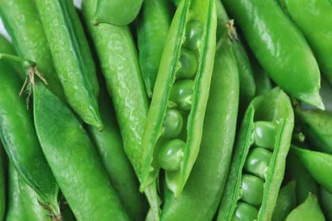 Green peas Stock Photos