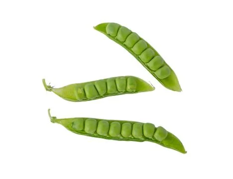 Green peas Stock Photos